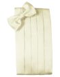 Ivory Luxury Satin Cummerbund Fashion