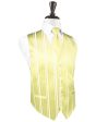 Canary Striped Satin Tuxedo Vest Hot on Sale