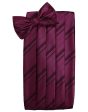 Wine Striped Satin Cummerbund Supply