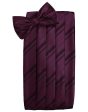 Berry Striped Satin Cummerbund Discount