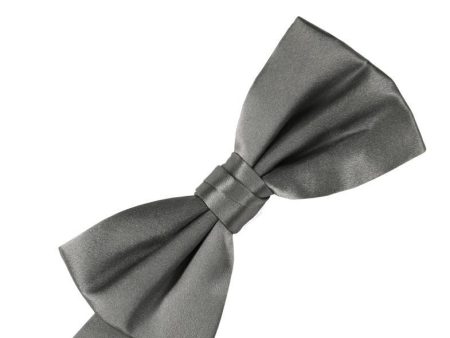 Silver Noble Silk Bow Tie For Sale