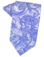 Cornflower Tapestry Necktie For Cheap