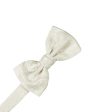 Ivory Paisley Silk Bow Tie Discount