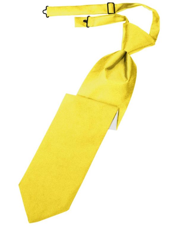 Sunbeam Luxury Satin Necktie Cheap