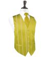 Willow Striped Satin Tuxedo Vest Hot on Sale