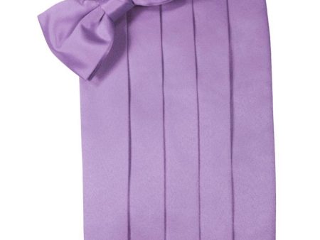 Wisteria Luxury Satin Cummerbund Fashion