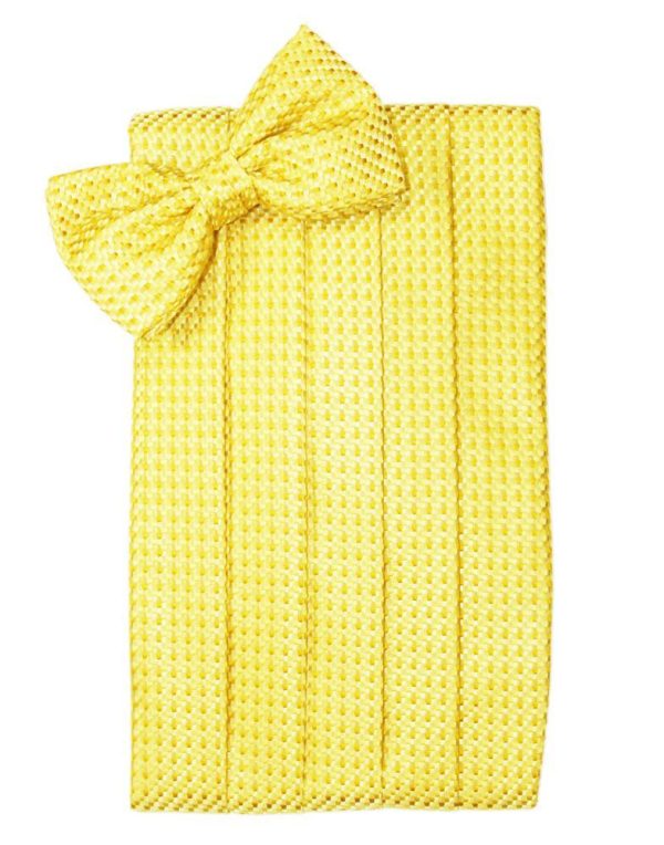 Lemon Venetian Cummerbund For Discount