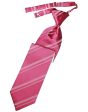 Watermelon Striped Satin Necktie Sale