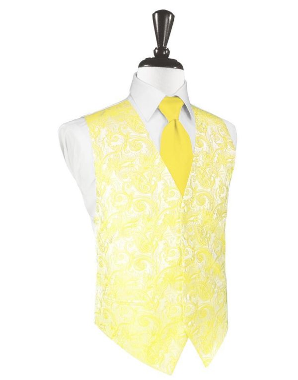 Sunbeam Tapestry Tuxedo Vest on Sale