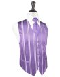 Wisteria Striped Satin Tuxedo Vest Online